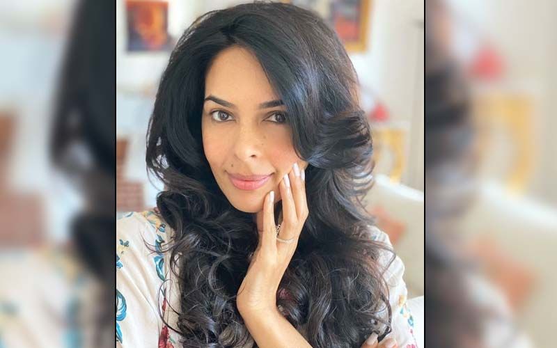 Mallika Sherawat Says She Has Always Auditioned To Get Work In Bollywood; Adds 'I Am Not Sure If It Was Followed As Strictly For Industry Kids'