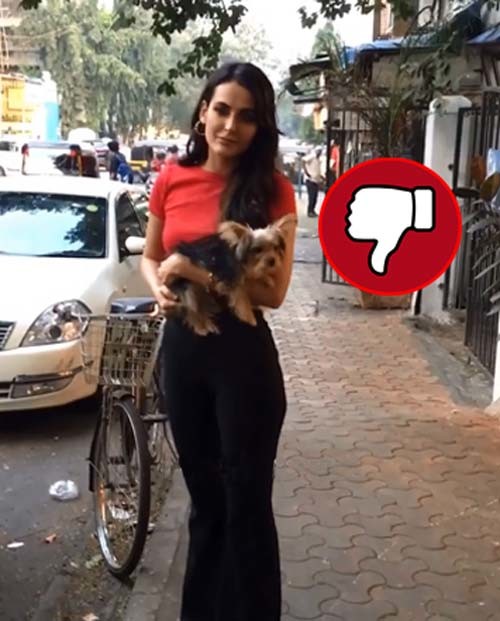 mandana mandana