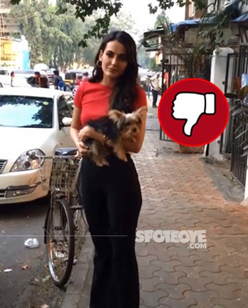 Mandana Karimi was spotted in the city with her pet dog