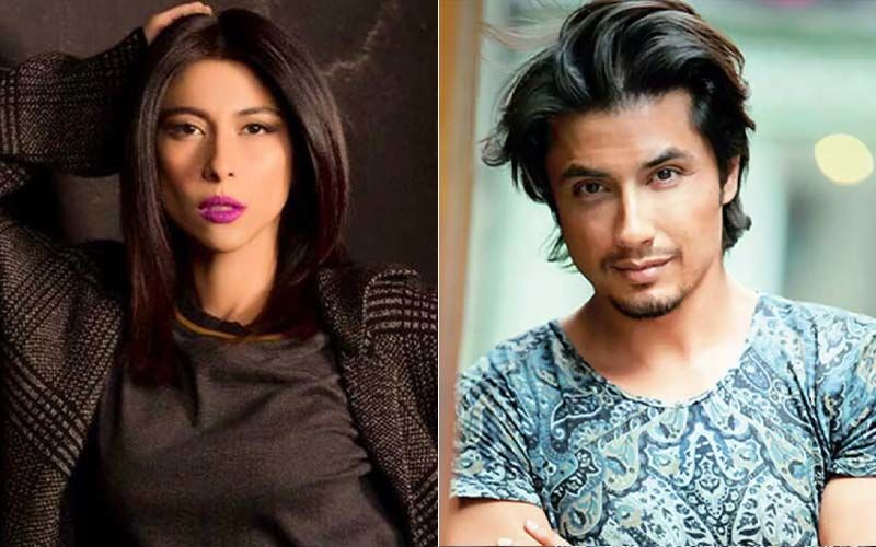 Court Dismisses Sexual Harassment Case By Meesha Shafi Against Ali Zafar