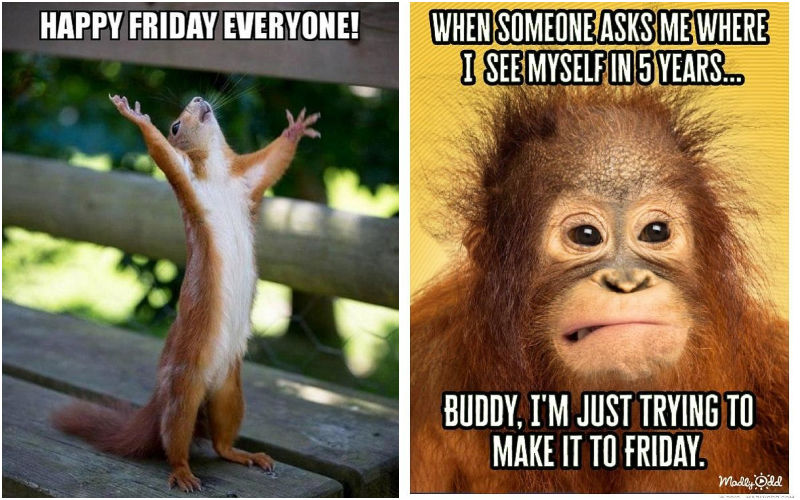 FridayMemes: Kick Off The Weekend With These TGIF Memes To Capture The Feeling Of Freedom! Make Sure To Share These With Your Meme Pals!