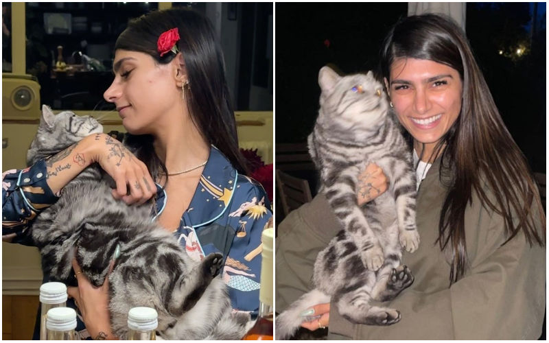 Mia Khalifa Plays With Stray Cat And Binges Studio Ghibli Movies! Gets Comfy With Pajamas And Fireplace In English Countryside-WATCH