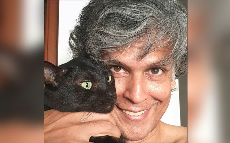 Milind Soman Does Superman pushups in new video, While Ankita Does Yoga, Checkout The Post