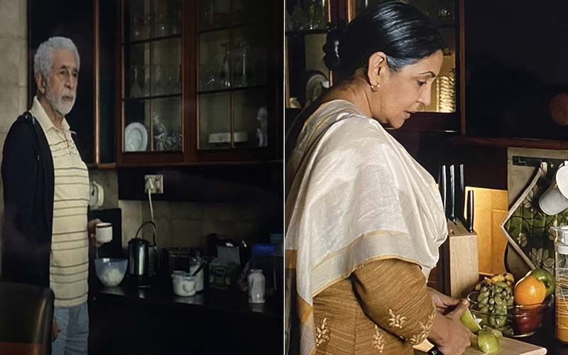 Netizen Finds Similarities In Naseeruddin Shah's House In 'Gehraiyaan' And 'Zindagi Na Milegi Dobara'; 'His Reel Family Lives In The Same Home'
