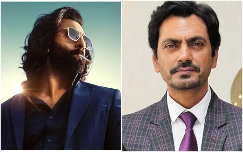 Post Animal's Box Office Mayhem; Nawazuddin Siddiqui Says He Is 'Hopeless' About Bollywood’s Future - Read To Know
