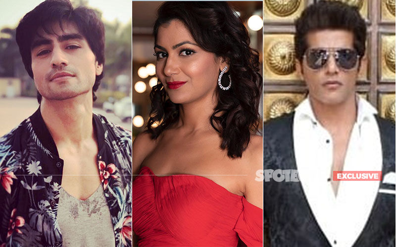 Sriti Jha, Harshad Chopda And Karanvir Bohra Are Coming Back As A Trio To Entertain You - EXCLUSIVE