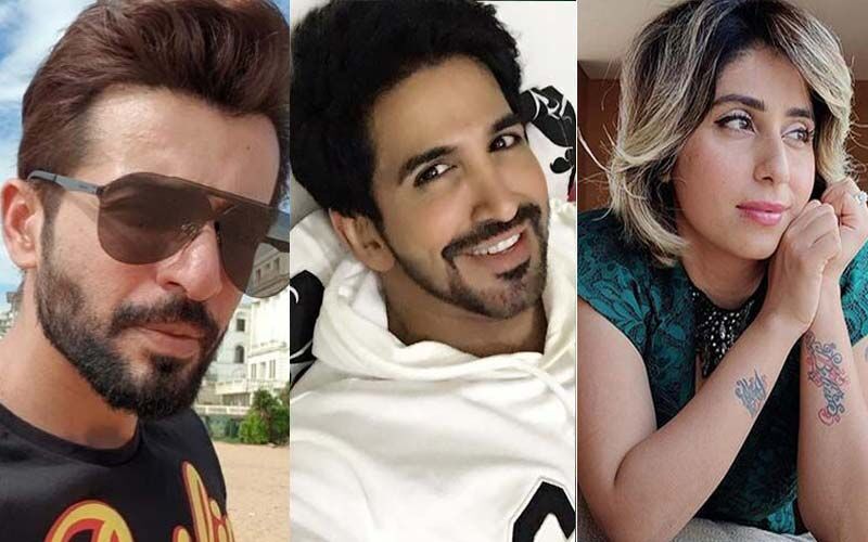 Bigg Boss 15: After Simba Nagpal, Jay Bhanushali, Vishal Kotian And Neha Bhasin Evicted From The Salman Khan-Hosted Show