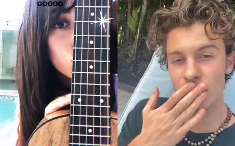 Camila Cabello Turns Spanish Teacher For Boyfriend Shawn Mendes; Learns Guitar From Him In Exchange