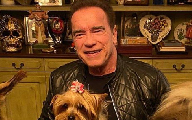 Arnold Schwarzenegger Photoshops His Son's Graduation Picture To Express His Happiness Amidst Lockdown