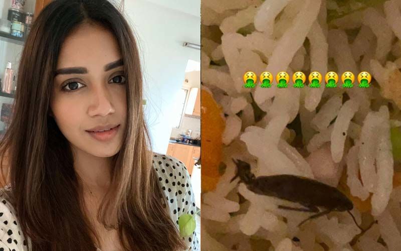 Nivetha Pethuraj Is Shocked To Find A Cockroach In Her Food That She Ordered Online; Shares A Pic Of Her Meal And Complains To Swiggy