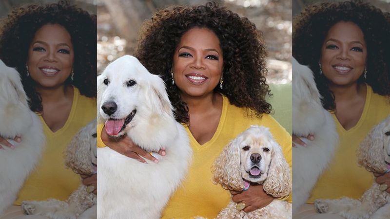 Oprah Winfrey Denies Being Arrested For Sex Trafficking; Calls It ‘Some Awful FAKE Thing' As She Trends On Social Media