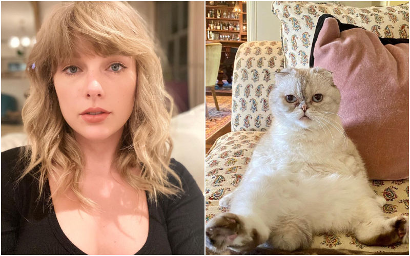 WHAT?! Taylor Swift’s Cat Olivia Benson Becomes The 3rd Richest Pet In The World, And She Has Whooping Net Worth Of Rs 800 Cr-DETAILS BELOW