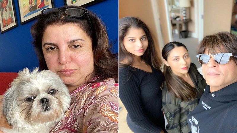 Farah Khan To Trolls: 'You Talk About Nepotism But Still Look Up For Pictures Of Shah Rukh Khan's Daughter Or Kareena's Son'