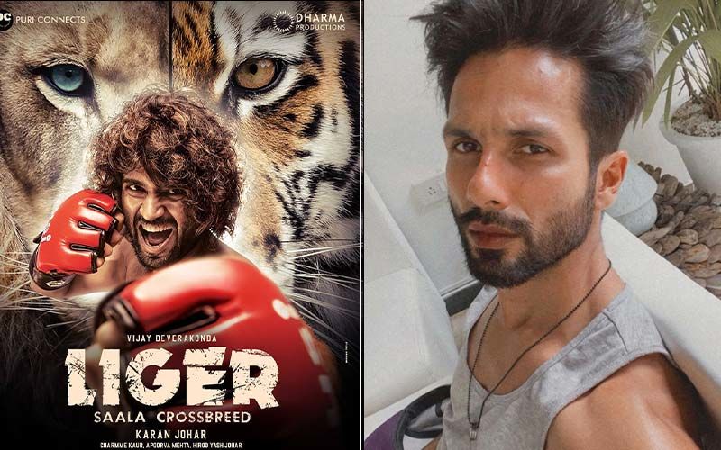 What Was Trending This Week? Shahid Kapoor Is Nervous About His Digital Debut, Fan Travels 900kms For Rashmika Mandanna, KGF 2 Release Update, And More!
