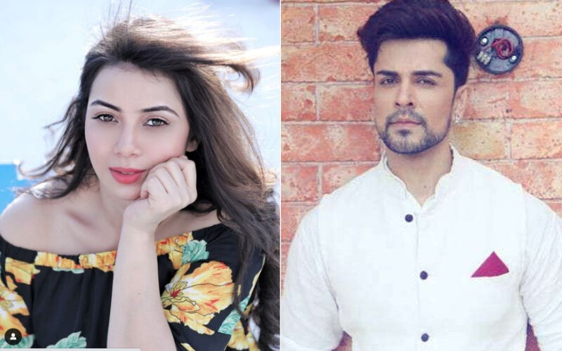 Bade Achhe Lagte Hain 2's Piyush Sahdev Is DATING Actress Sehrish Ali? Their Secret Trip To Indonesia Spark Relationship Rumours