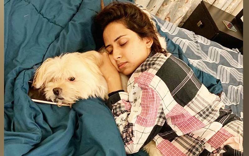 Sargun Mehta's Adorable Post With Her Pet Will Sanitize Your Mood