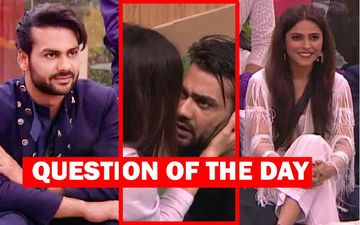 Bigg Boss 13: Should Exes Vishal Aditya Singh And Madhurima Tuli Reunite As A Couple?