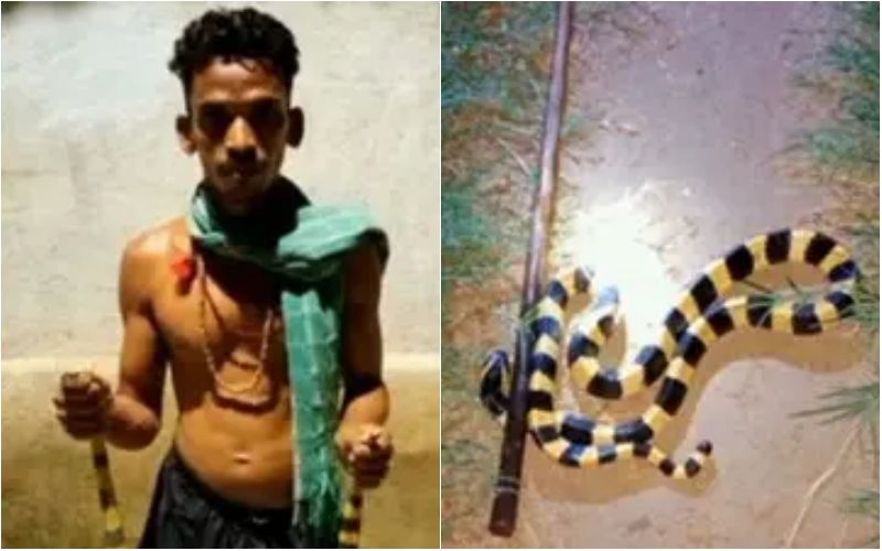 SHOCKING! YouTuber Arrested For Keeping 6 Snakes And 4 Chameleons At Home; He Used Wild Animals To Create Videos-REPORTS