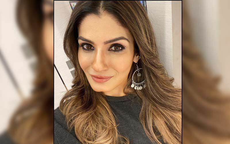 Get Dash Cams And CCTV Now: Raveena Tandon Shares 'Moral Of The Story' After Her Recent Road Rage Incident In Bandra