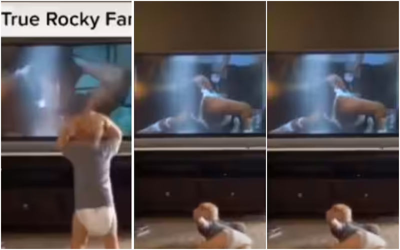 Rocky Aka Sylvester Stallone’s Biggest-Youngest Fan Spotted In Diaper! Toddler Imitates The Italian Stallion’s Training Regime In VIRAL VIDEO-WATCH!