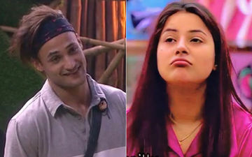 Bigg Boss 13: Asim Keeps His Enimity With Sidharth Aside; Tries To Bring Sid And Shehnaaz Gill Back- VIDEO