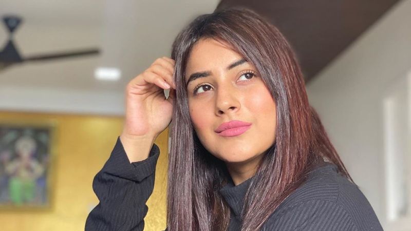 Shehnaaz Gill Is Feeling BETRAYED; We Wonder Who's Bothering The Bigg Boss 13 Star?