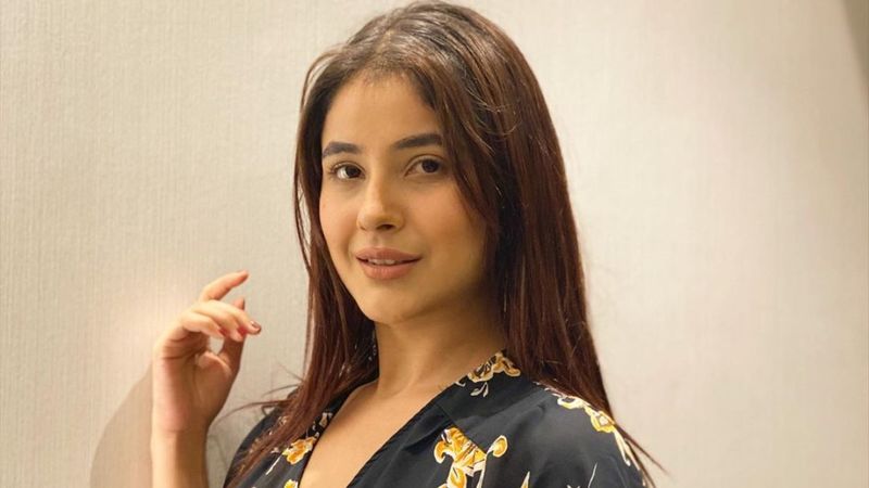 Fan Art Showing Bigg Boss 13's Shehnaaz Gill As Yummy Candies Will Make Your Mouth Water In Temptation - PICS