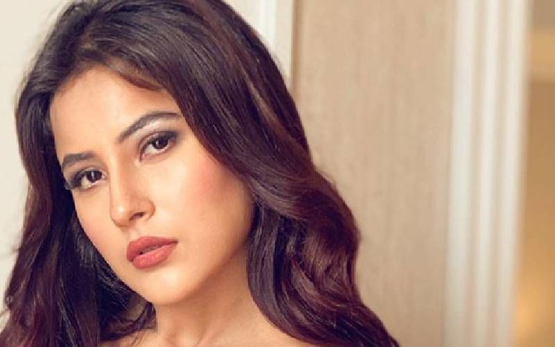 Bigg Boss 13's Shehnaaz Gill's Latest Picture Is Beauty Personified; Punjab Ki Katrina Is Living Up To Her Nickname - Take A Look