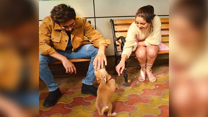 Pati, Patni, Woh Aur Doggie – Kartik Aaryan And Ananya Panday Playing With A Stray Puppy On Sets Is Adorbs