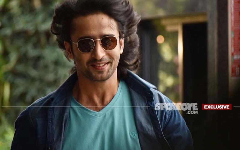 Shaheer Sheikh: I Don't Mind Playing A Negative Role'- EXCLUSIVE