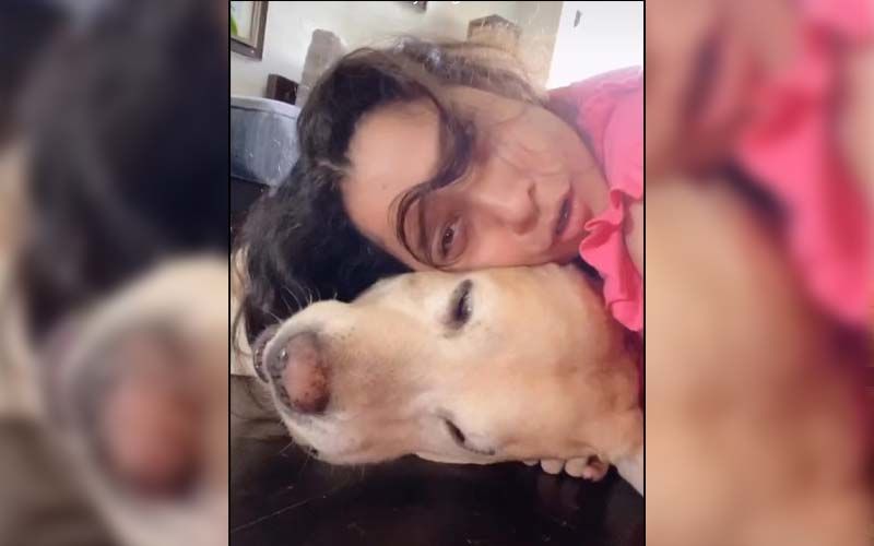 Ankita Lokhande Gets Morning Cuddles From Scotch, The Dog She Co-Parented With Sushant Singh Rajput; Hatchi Joins In The Fun