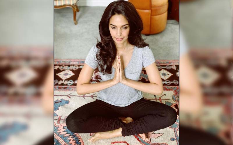 Mallika Sherawat Birthday Special: Murder Actress Is A Fitness Freak- Her Instagram Posts Scream Healthy
