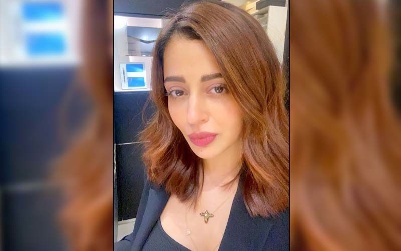Nehha Pendse's Gorgeous New Photoshoot Brings Out The Charms