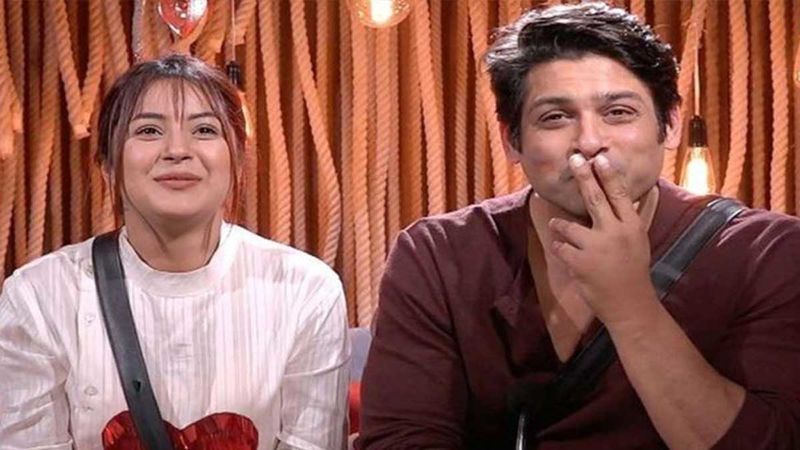 Bigg Boss 13’s Shehnaaz Gill Shares An Endearing Pic Of Her ‘Kullu’ Sidharth Shukla; We Are Transported To #SidNaaz Days