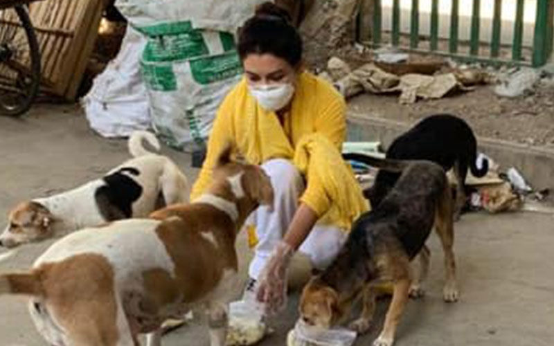COVID-19: Robibaar Actress Jaya Ahsan Feeds Stray Dogs In Dhaka