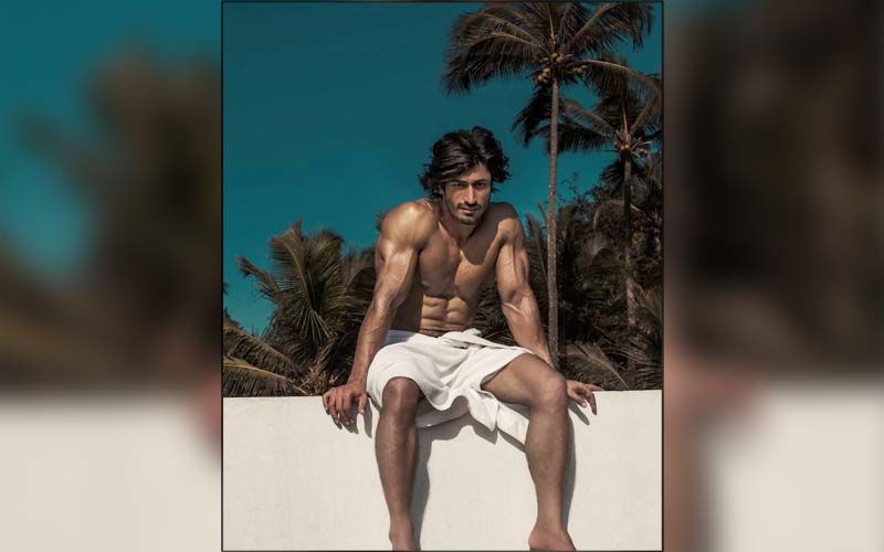 Vidyut Jammwal Is Forever Workout Ready; These Pictures Are Proof