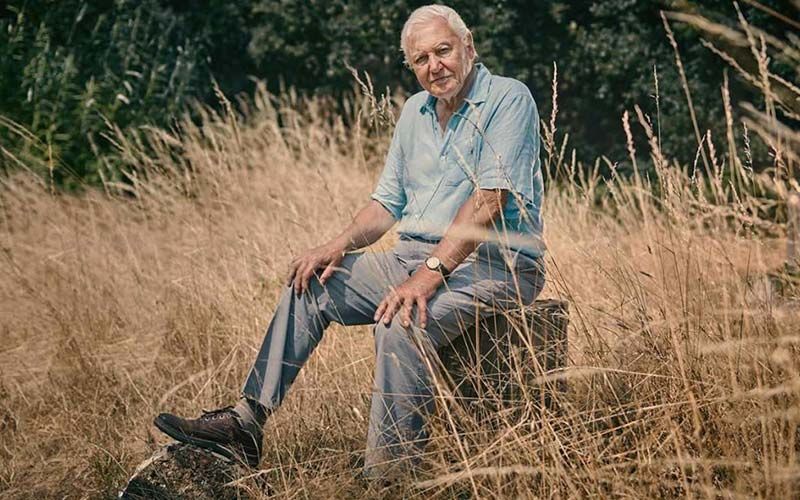 Sir David Attenborough Joins Instagram At 94; Breaks Jennifer Aniston’s Record By Gaining 1 Million Followers In Under 5 Hours