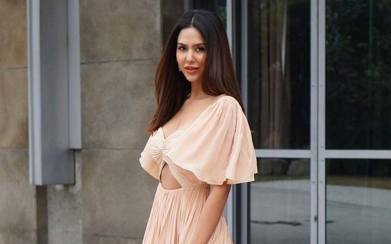 Sonam Bajwa Notches Up Her Style Game In A Pastel Outfit; Shares A Pic On Insta