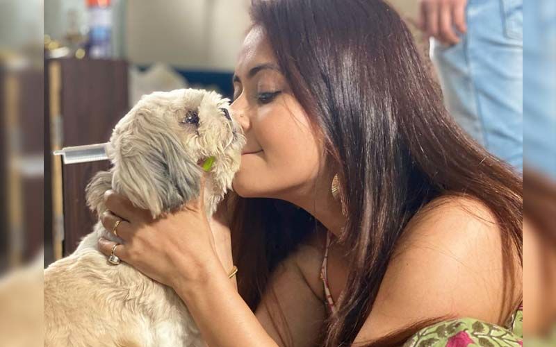 Bigg Boss 13's Devoleena Bhattacharjee Seeks Clarification On If She Is Allowed To Leave Her Sealed Building As Her Dog Is Unwell