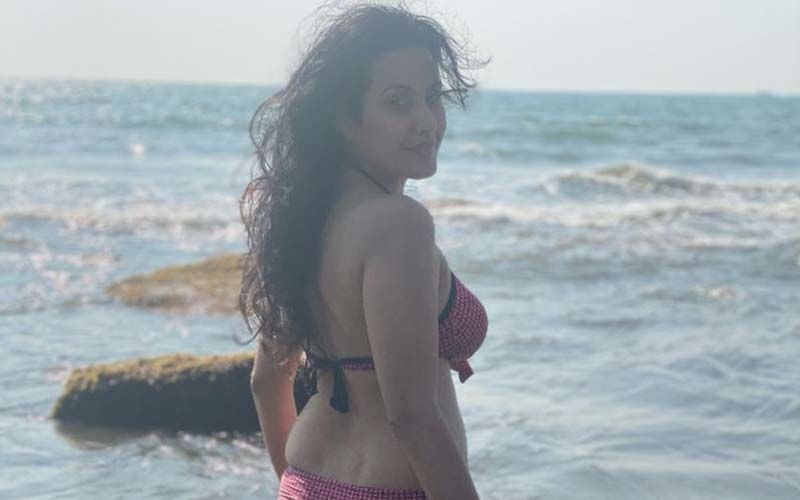 Bikini Clad Kamya Punjabi Makes An Empowered Wish For International Women's Day 2021; Ends Up Being Trolled, Called 'Sasti Swara Bhasker'