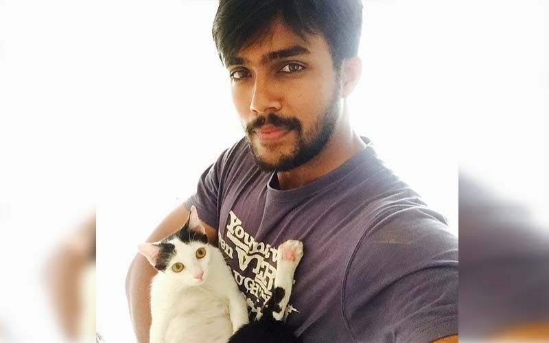 Bigg Boss Tamil Season 1 Winner Arav Nafeez Cares For Stray Dogs