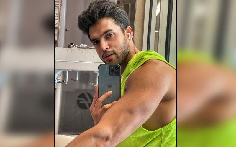 Parth Samthaan is Enjoying 'An Ideal' New York Sunset With Someone Special; Drops Cryptic New Video