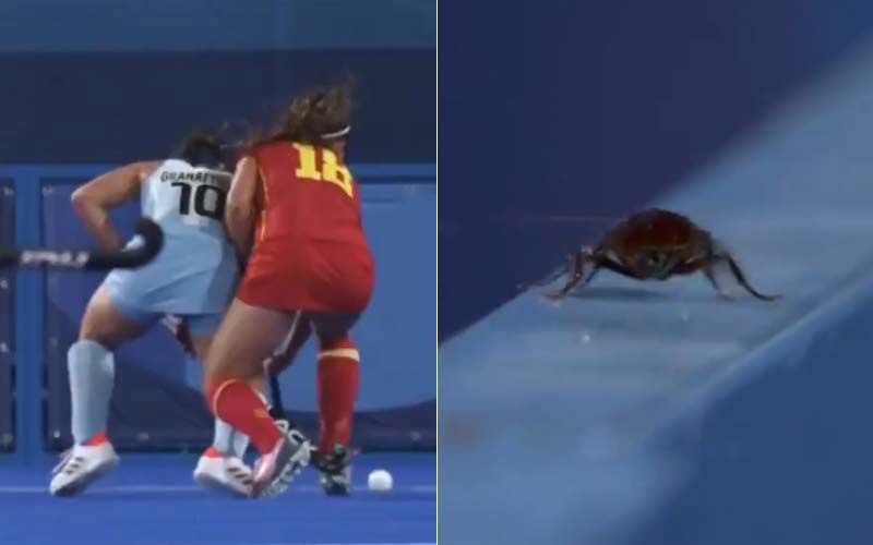 Tokyo Olympics Cameraman Films Cockroach Instead Of Spain-Argentina Hockey Match, Twitter Fans In Splits Over This Hilarious PICTURE