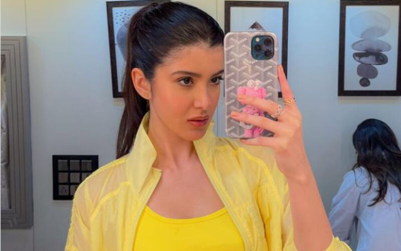 Shanaya Kapoor Looks At The 'Bright Side Of Life' In Yellow Athleisure Outfit; Check Out The Sexy Mirror Selfies