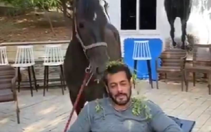 Salman Khan Lets Horse Eat His Food Off His Head; Dabangg Khan Is 'Being Taken For A Ride' - WATCH HILARIOUS VIDEO