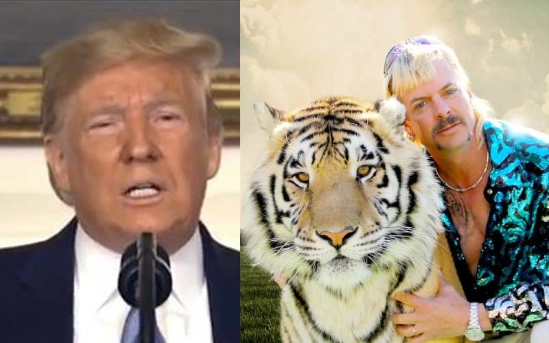 Donald Trump Reveals He Knows Nothing About Tiger King Star Joe Exotic's Case, Says Will 'Look Into' His Pardon