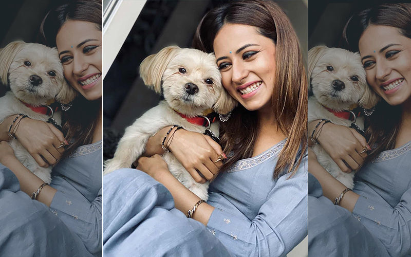 Sargun Mehta Poses With Her Pet Moyo, Shares Adorable Picture On Instagram