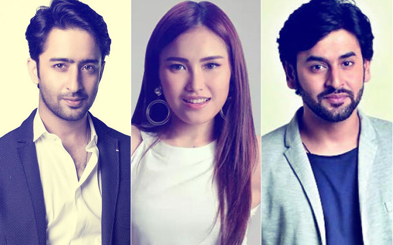 What’s Shashank Vyas Doing With Shaheer Sheikh’s Ex-Girlfriend Ayu Ting Ting?