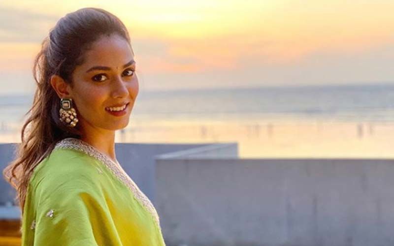 Shahid Kapoor's Wifey Mira Rajput To Soon Make Her Bollywood Debut? Here's What The Lady Has To Say