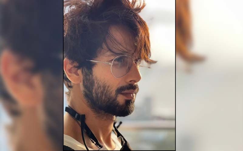 Shahid Kapoor Lights Up The Internet With His Charming Sun-Kissed Photo; Says 'We Always Tend To Love Most What We Have Lost'